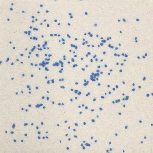 Flecks + Specks Small Grog