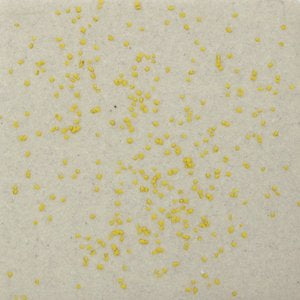 Flecks + Specks Small Grog