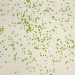 Flecks + Specks Small Grog