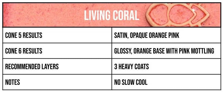 Speedball Mid Fire Glaze - Living Coral