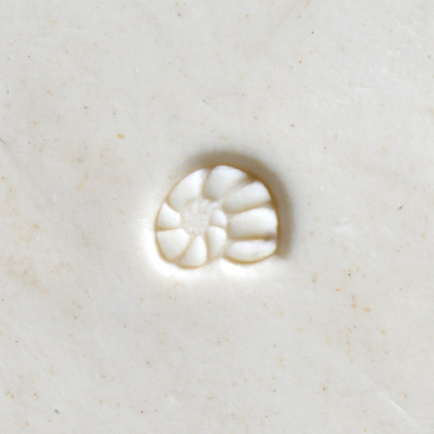 MKM Mini Round Stamp - Ammonite