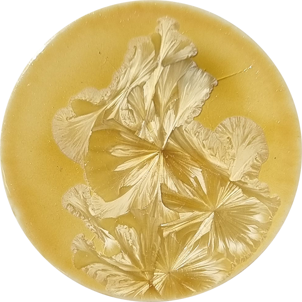 Chrysanthos Supernova Glaze - Kaus Borealis