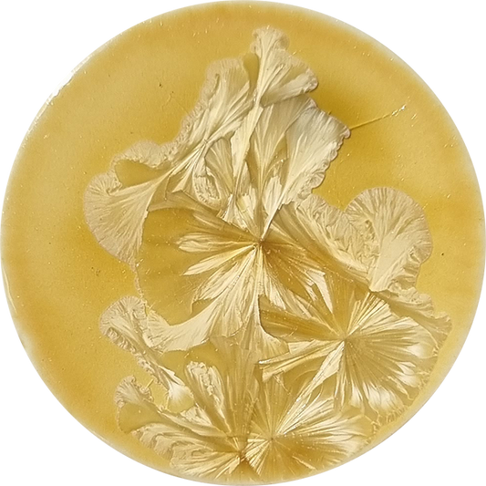 Chrysanthos Supernova Glaze - Kaus Borealis