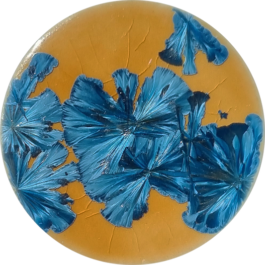 Chrysanthos Supernova Glaze - Alcor